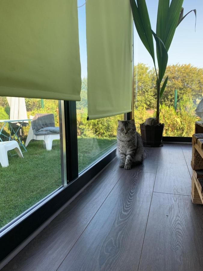 Tu&Ya Cabins Agigea Zewnętrze zdjęcie