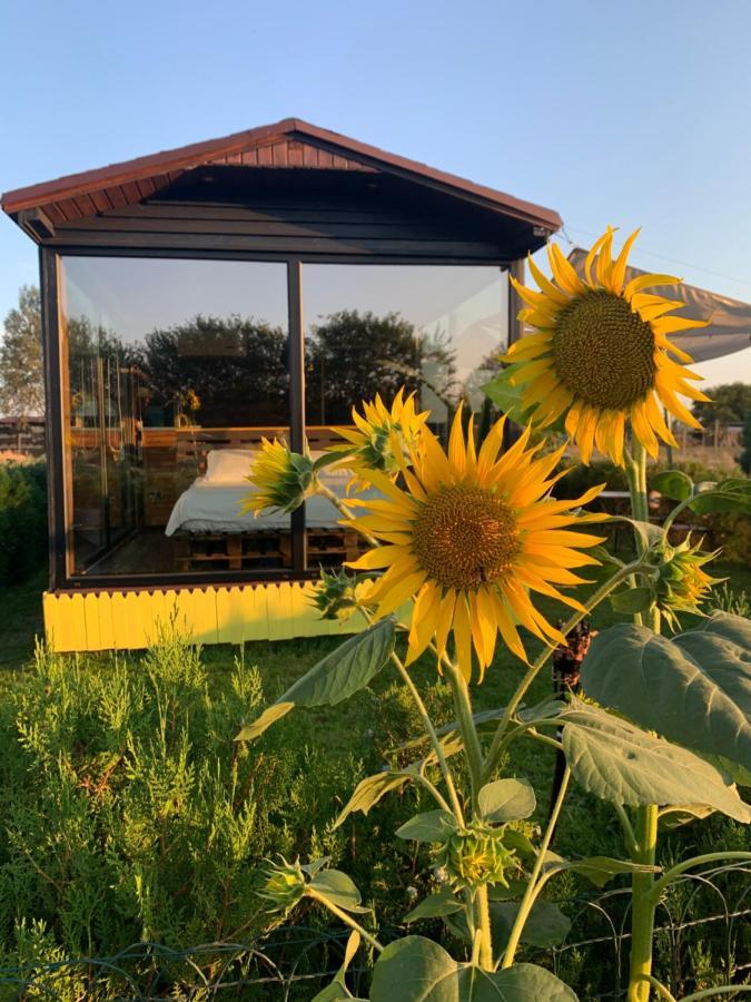 Tu&Ya Cabins Agigea Zewnętrze zdjęcie
